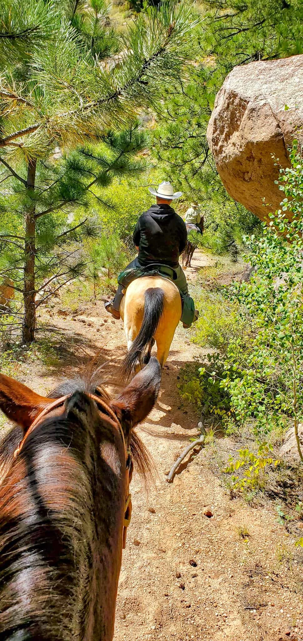 Horseback Riding photo 14