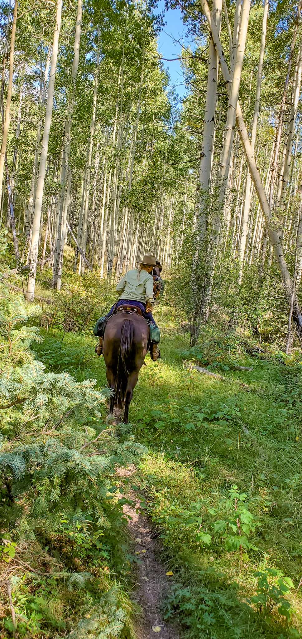 Horseback Riding photo 13