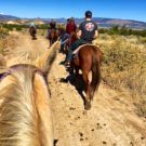 view from horseback rider during trail walk Colorado Jeep Tours