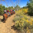 guests on horseback riding trail Colorado Jeep Tours