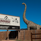 Signage and replica dinosaur at the Royal Gorge Dinosaur Experience Royal Gorge Canon City Colorado